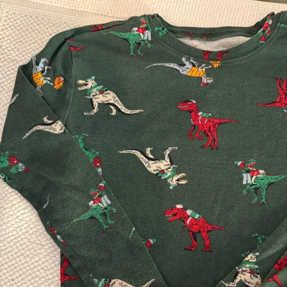 GAP Kids Organic Cotton Dinosaur Pajama Set Green Dino Print Sleepwear Size 14